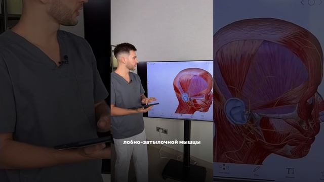 Откуда берется межбровка? Часть 1 смотреть онлайн