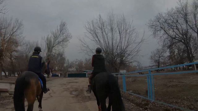 Насыщенный конный влог|| Пнула лошадь! Прямое включение, весь день на конюшне| смотреть онлайн