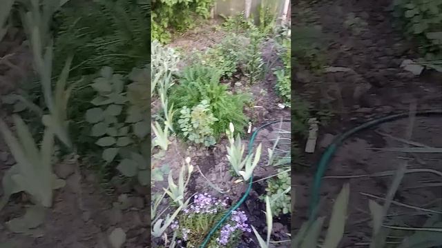 25 травня 2023 р.(1) смотреть онлайн