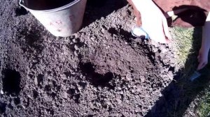 Правильная Посадка Семян Кабачков в Открытый Грунт! Выращивание.