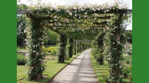 Арка и пергола в саду. Опора для вьющихся растений.