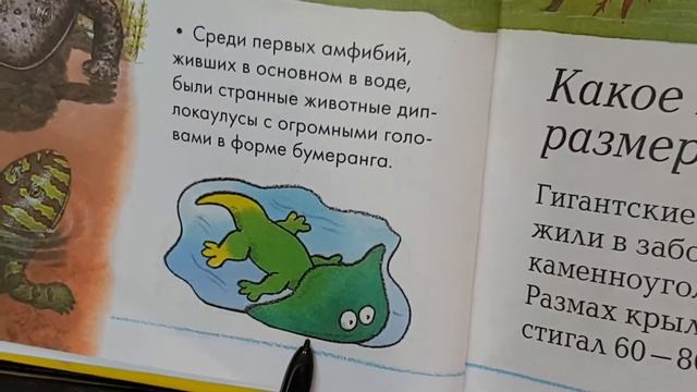 Почему у рыб выросли ноги? Как образовался УГОЛЬ? Какое насекомое размером с птицу? смотреть онлайн