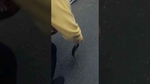 #сокровищаимператора #женяискандарова смотреть онлайн