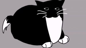 котик крутится