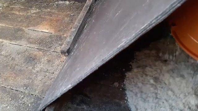 Гнездо для гусей... смотреть онлайн