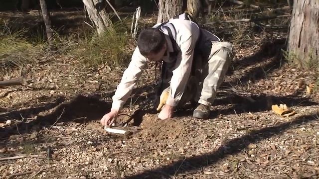 Performance Of The Minelab GPX 5000 Gold Detector - Fine Gold Timings