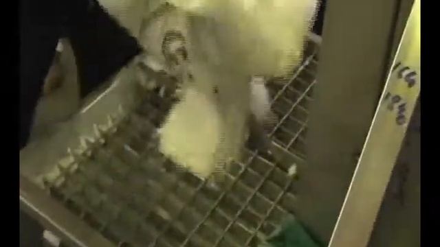 Искусство Саморазвития