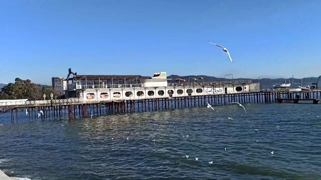 Сухум. Абхазия. Обезьяний заповедник. Заброшки