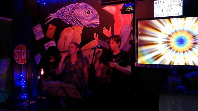 House of the rising sun The Sketch Artists Play Blue Fig Bar 31 January 2019 смотреть онлайн