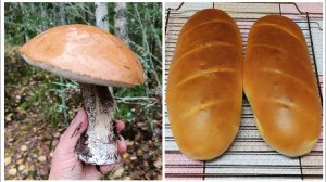 Как время быстро летит, туда -сюда и день прошёл!!!