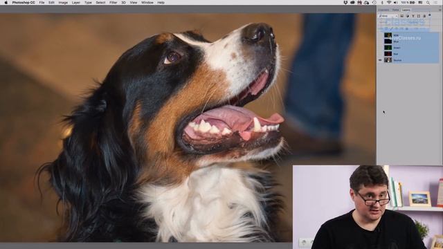 RAW-формат. Adobe Photoshop: проявка RAW в Adobe Camera Raw. Андрей Журавлев