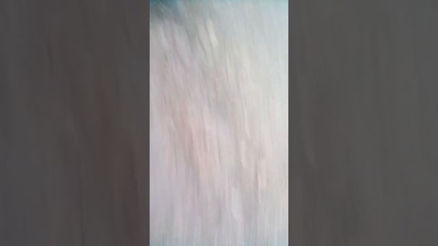 Очень неожиданно мы разбили духи которые я нашёл смотреть онлайн
