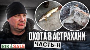 Охота на волков в Астрахани. Сезон 2022. Часть два. Охота на подводного хищника. Не волком единым.