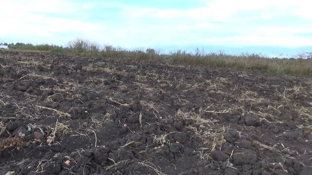В ПОИСКАХ КЛАДА. Без находок не остались... Накопали серебра! смотреть онлайн