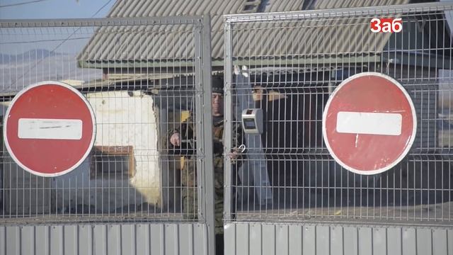 Читинским предпринимателям предлагают выбрасывать мусор в лес смотреть онлайн