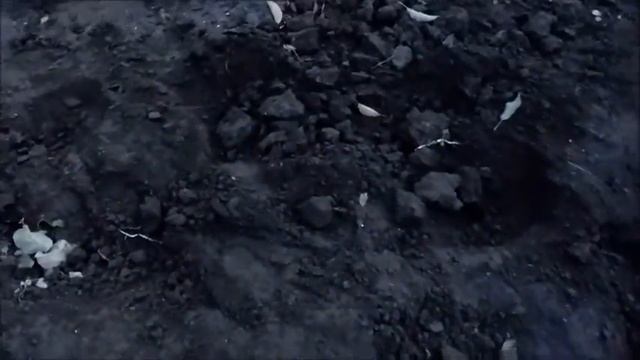 Поиск с металлоискателем на огороде смотреть онлайн