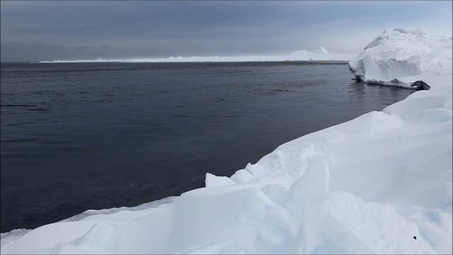 Полынья, свободная ото льда смотреть онлайн