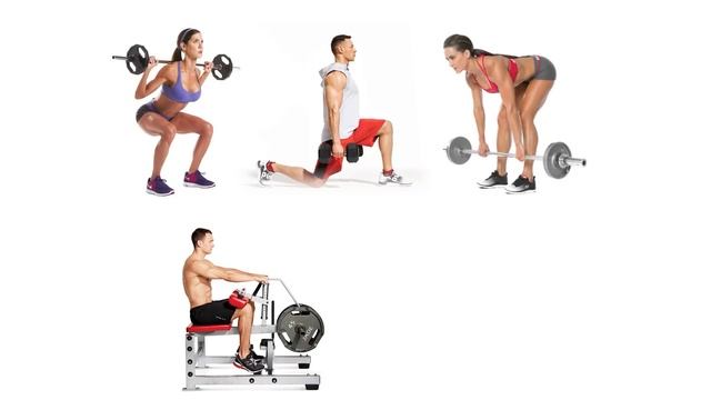 Как составить Рабочую Программу тренировок за 5 Минут смотреть онлайн