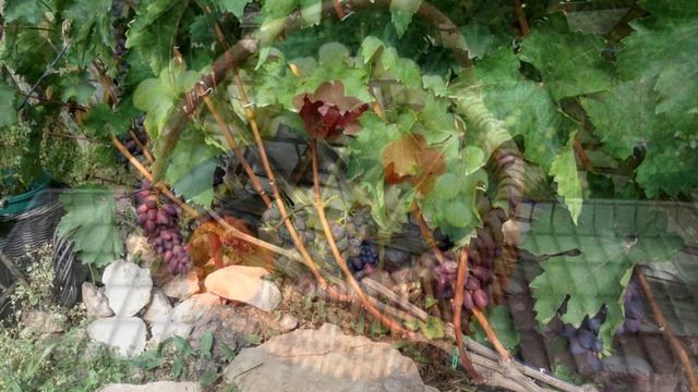 Обоснованный прогноз на сезон по итогам мая смотреть онлайн