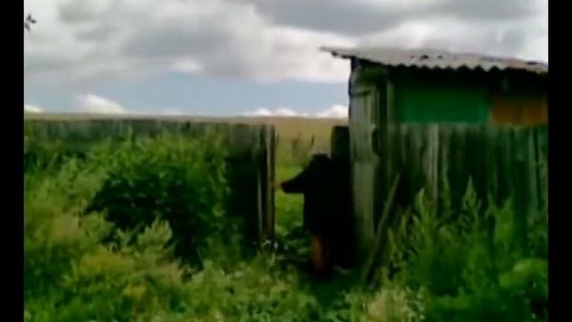 Вечная память рабу Божию Владимиру смотреть онлайн