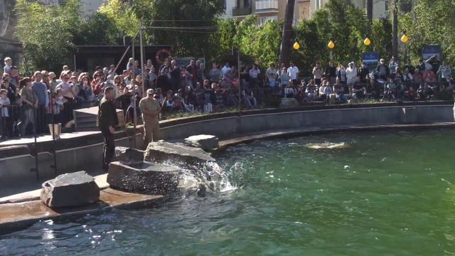 Кёльн/ зоопарк / Kölner Zoo/16.04.2022 смотреть онлайн