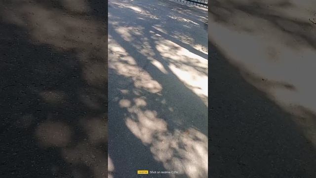 школа номер 36 закрыли забором (субтитры англиский)