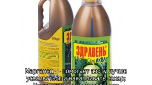 Здравень для винограда