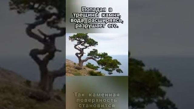 самое уникальное вещество на земле!!!! смотреть онлайн