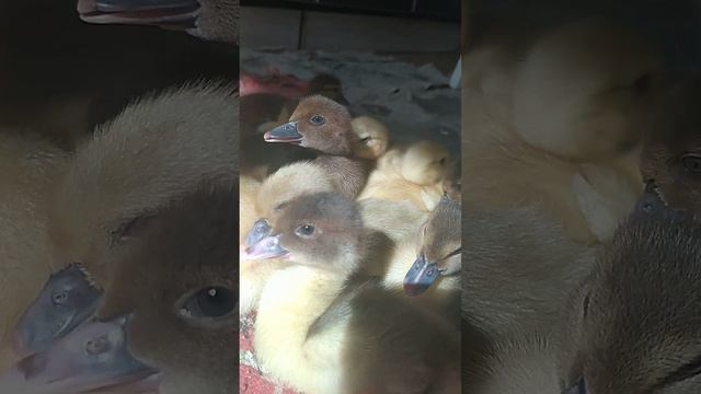 День охраны труда.А также сегодня пятница развратница? смотреть онлайн