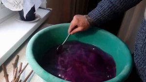 Обработка черенков винограда от болезней марганцовкой, и замачивание их в воде