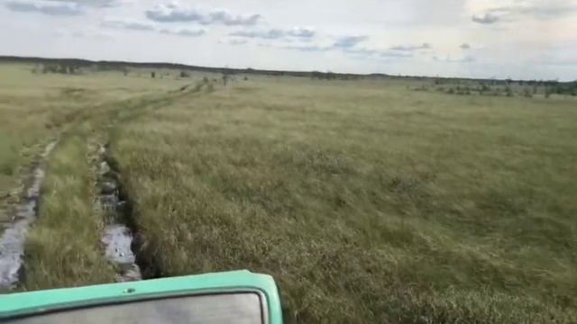 Поездка на Васюганское болото. смотреть онлайн
