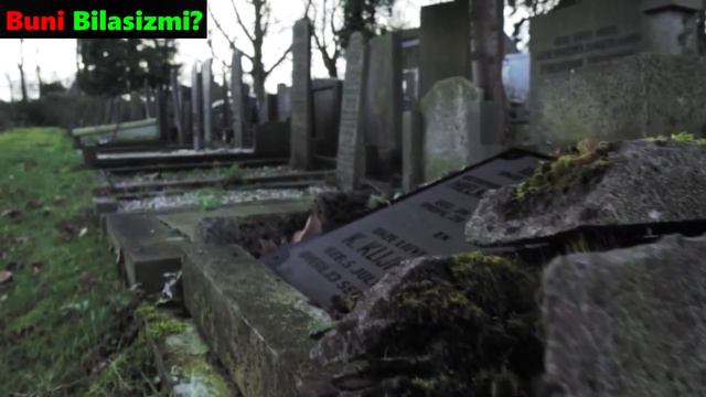 VAMPİRLAR BOR EKANİNİ BİLASİZMİ? VAMPİRLAR HAQİDA MALUMOTLAR / ВАМПИРЛАР ХАКИДА / Buni Bilasizmi? смотреть онлайн