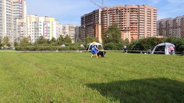 27.08.2016. Открытые соревнования по танцам с собаками. Кондакова Екатерина. смотреть онлайн