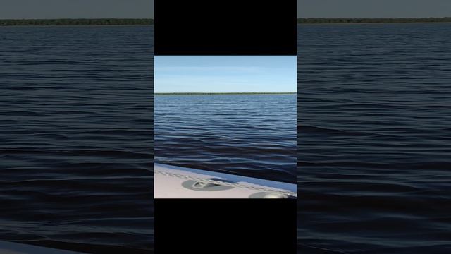 Юный капитан. смотреть онлайн