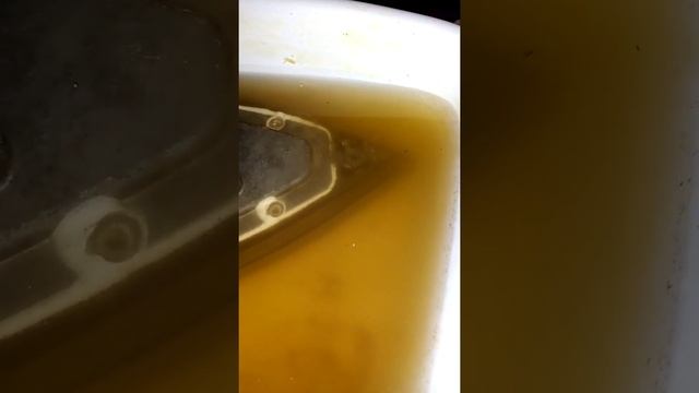 удаление накипи отпаривателя Tefal смотреть онлайн