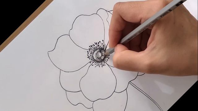 Рисую анемон||Drawing An Anemone