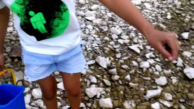 Гуляем на море! Ищем ракушки смотреть онлайн