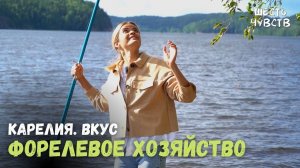 Форелевое хоз-во в Карелии // КАРЕЛИЯ. ВКУС // 6 чувств