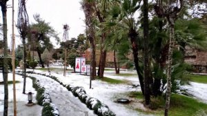 Стоит ли ехать в Батуми зимой. Снег и погода в Батуми