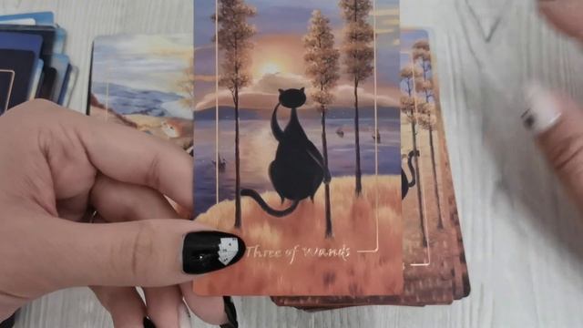 Обзор The Feline Rider Tarot / Таро Кошачьего Всадника смотреть онлайн