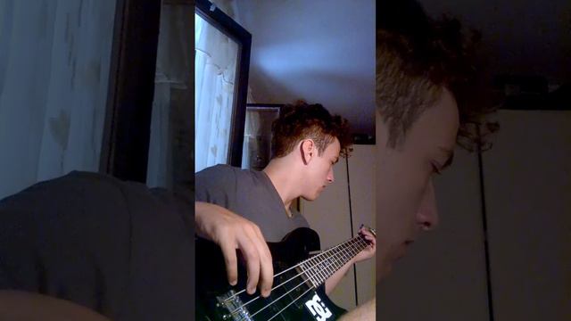 Lilly Wood & The Prick and Robin Schulz - Prayer In C bass cover смотреть онлайн