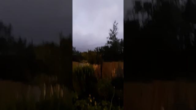 13+ рум тур по даче, белые ночи, экскурсия по бравл парку, типо лоро парк. смотреть онлайн
