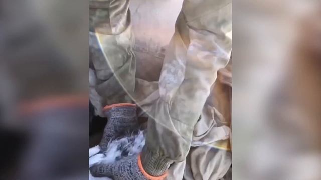 Современный дед Мазай и зайцы смотреть онлайн