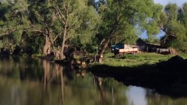 Чистка пруда и подсадка карпа смотреть онлайн