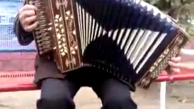 Гармонь Смирнов - Сармач Заволжский классический смотреть онлайн