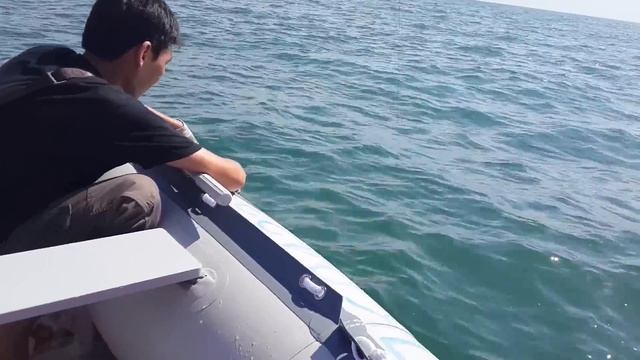 Сом на квок. Капчагай 2013 смотреть онлайн