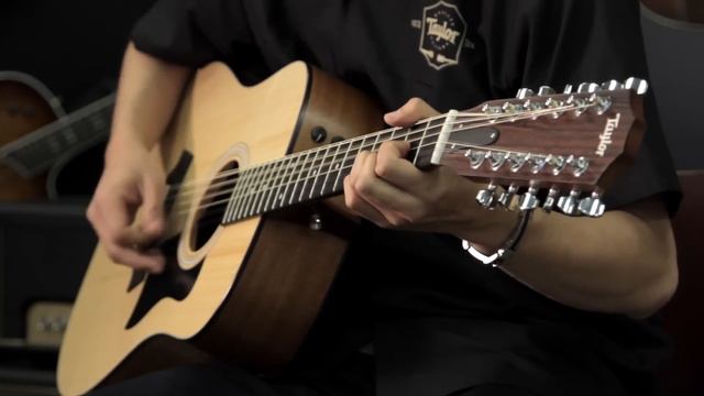 Taylor "150e Dreadnought Guitar" - 12-string Demo смотреть онлайн