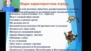 8 класс. Биология. Хоботные и приматы