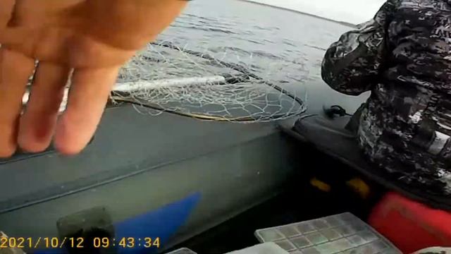 2021.10.12.Тверская обл. д.Противье щучка смотреть онлайн