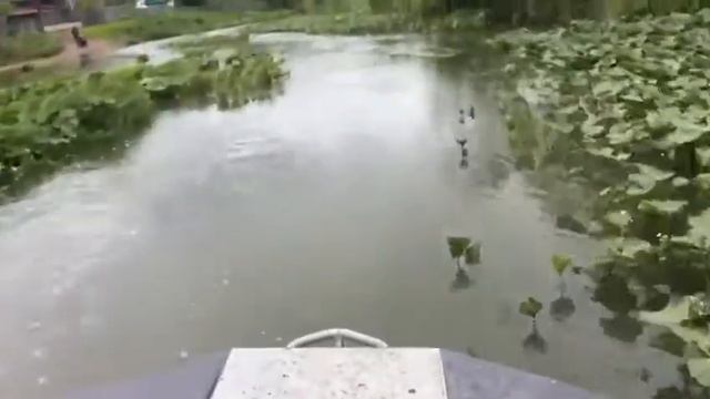 Борус 570 смотреть онлайн